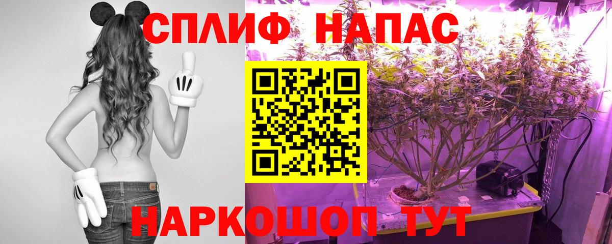 Канабис LSD WEED  Шишки марихуана VHQ  Вход с VPN  Приморско-Ахтарск 